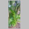 25-12-28---006- Pondichery.jpg